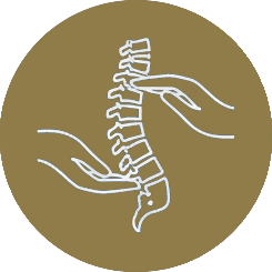Home chiropraktyka v3